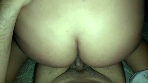 latina homemade pov anal creampie on big tits cock