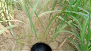 my sexy wife hard anal outdoor pounding video