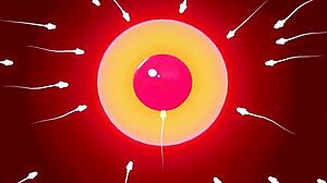 team rwbys workout ends with hot creampie pov action