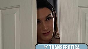 angelina please and trans pal go wild anal fuck 😈🍑🔥