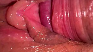 gigioficial's wet pussy licked in model life story