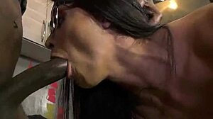 Avi Love Cucks Rich Boyfriend with Big Black Cocks