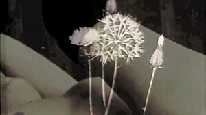 VINTAGE EROTIC BEAver BLOWJOB CUMSHOT!