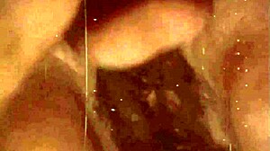 VINTAGE EROTIC BEAver BLOWJOB CUMSHOT!