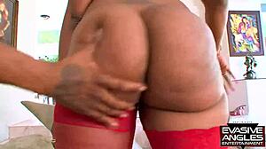 cleo spreads fishnets rides dick big ass cumshot