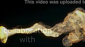 19yo lika star screams big cock deep assfuck closeup rough