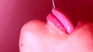 Seductive Japanese Girls In Erotic Porn Story Three Fun