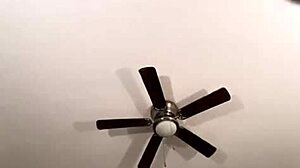 i was just joking with my friend solo