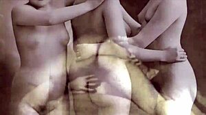 Vintage Retro Hairy Beaver Pussy Films Uncovered