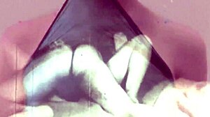 Vintage Retro Hairy Beaver Pussy Films Uncovered