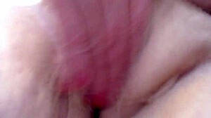 surprise breed me begging video for sean from dawnskye1962!