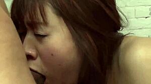 maki sarada's goddess blowjob skills tease your deepest asian fantasies