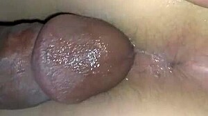 amateur pov interracial doggystyle slams her dripping wet pussy deep