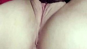 senta na minha cara legs worship domination