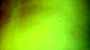 thick pregnant milf's intense breeding session unfolds