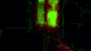 MATURE ASS WORSHIPS ANAL FUCK MACHINE IN FISHNETS CLOSE-UP