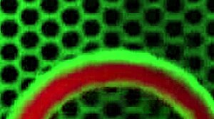 Hottie charlee chase rubs clit while dildo fucks wet cunt