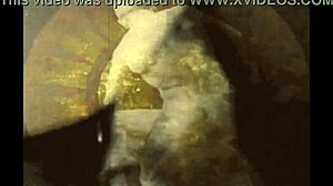 Vintage Erotic Art Captures Timeless Sensuality