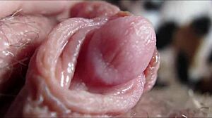 Explosive big clit throbs wildly in intimate closeup orgasm rush