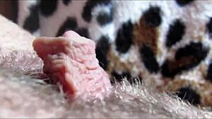 Explosive big clit throbs wildly in intimate closeup orgasm rush