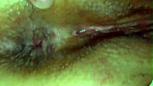 chocolate bunny stuffs big black cock deep in curvy white rabbit's fat ass