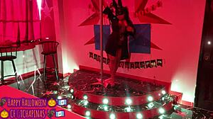 playboy bunny chapina says happy halloween on runway costume rip