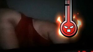 Sexy Fat Brazilian Wife Licks Lover's Cock On All Fours For Cuckold Hubby