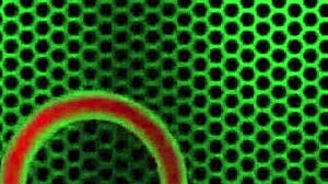 Tasha Reign's Blonde Milf Licks Big Pussy Lips And Clit