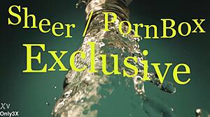 hey lulu chu's pure bj quickfap 11m bliss