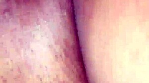 sebastiana bends over begging for doggy pounding