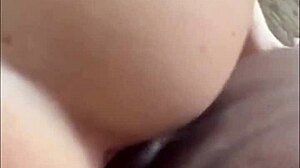 Blondes Slammed By Big Black Cocks
