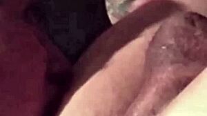 Ouroboros Season 3: Global Amateurs in Outdoor Public Play