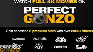 stella cox primecups trailer hides wild secrets