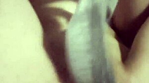 950 rossmex latina masturbates begging for dick 😍🔥🍆