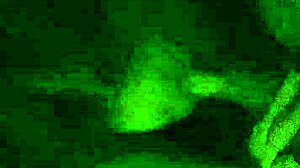 Ex heather moore chokes gags deepthroats my cock till cumshot mouthful