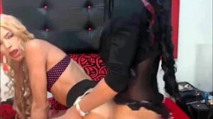 two sexy shemales crossdress and fuck each other passionately