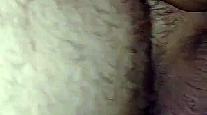 Big Ass Latina Prostitute Nalgona