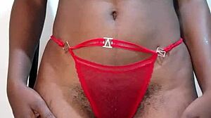 Fucking big ass African pussy?