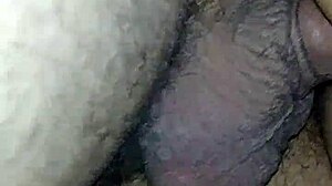 Big Ass Latina Prostitute Nalgona