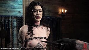 Why endure chains when tazappered slut begs for more?