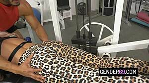 in the gym busty transsexual nadia love takes black guy's pounding