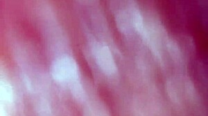 he massages my legs begs for pussy steals buttplug shoves in ass