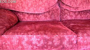 French stepmom sucks stepson dry in cuckold creampie