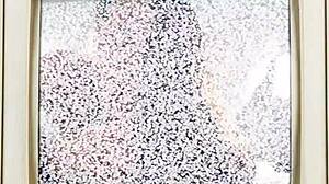 I suck rebel wyatt's dick twice cum blast