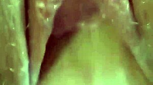 couple's pov homemade missionary sex creams pregnant blonde's pussy