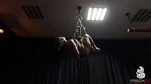Chubby latina slave tied assfucked by master apprentice