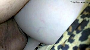 banging my wife under sheets came with interruptions