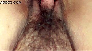 her hairy pussy clenched my cock so tight her huge clit swelled like a mini dick