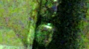 Wife's Tight Ass Pounded Hard Anal Ecstasy!