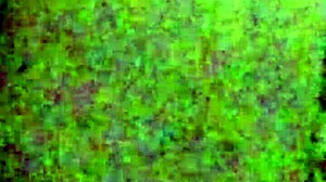 Wife's Tight Ass Pounded Hard Anal Ecstasy!